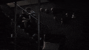 Lone Star Tarlos GIF by FOX TV