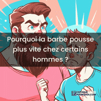 Alimentation Barbe GIF by ExpliquePourquoi.com