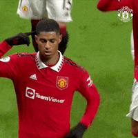 Sport Soccer GIF by Manchester United