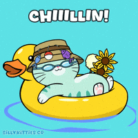 Chilling Laid Back GIF by Silly Kitties