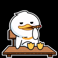 Crypto Cardano GIF by QUACKU