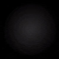 Fashion Community GIF by TheWrognTribe