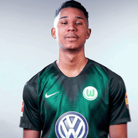 Felix Uduokhai Football GIF by VfL Wolfsburg