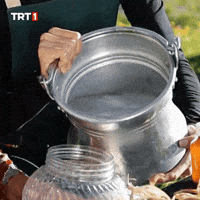Summer Win GIF by TRT