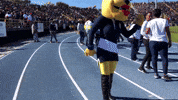 Aggie Football Dance GIF by N.C. A&T