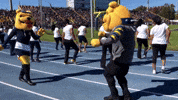Aggie Football Dance GIF by N.C. A&T