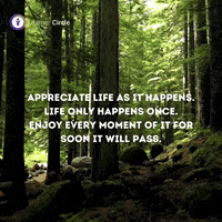Life Love GIF by Learner Circle
