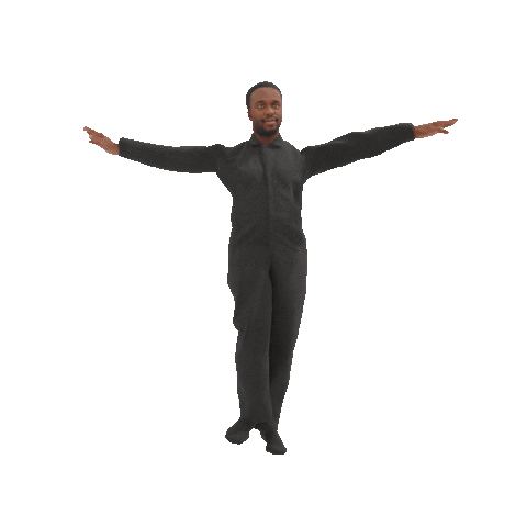 osebo giphyupload dance 3d avatar Sticker