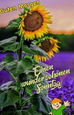 Monicolus giphyattribution guten morgen GIF