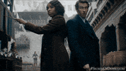 Fantasticbeasts GIF by Fantastic Beasts: The Secrets of Dumbledore