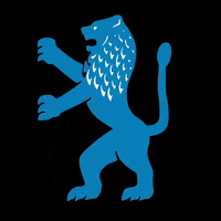 lion GIF by Jerusalem