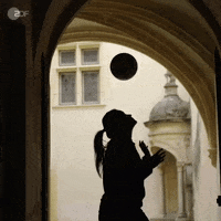 zdf football fussball germany worldcup GIF