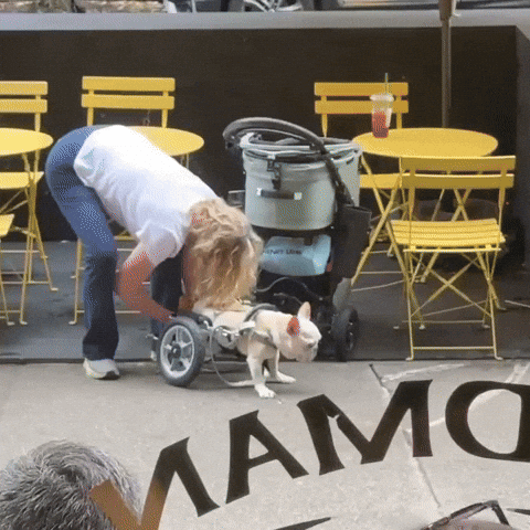 Wheelchair GIF by Respective