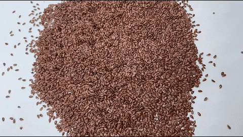 Foodberry giphyupload GIF