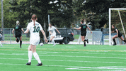 Goal Dew GIF by NDSU Athletics