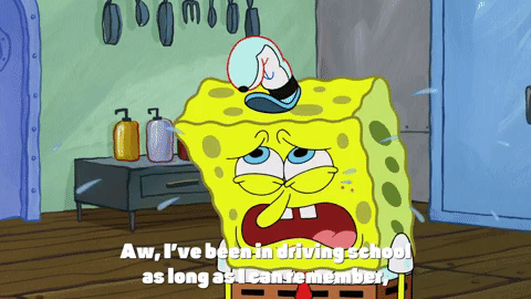 season 9 lost in bikini bottom GIF by SpongeBob SquarePants