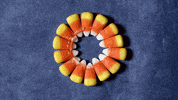 Candy Corn Art GIF by Great Big Story