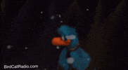 BirdCallRadio love happy dance funny GIF