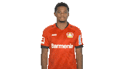 Bayer 04 Love Sticker by Bundesliga