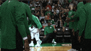 ready to go handshake line GIF by Boston Celtics