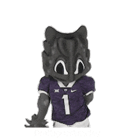 College Sports Mascots Sticker by College Colors Day