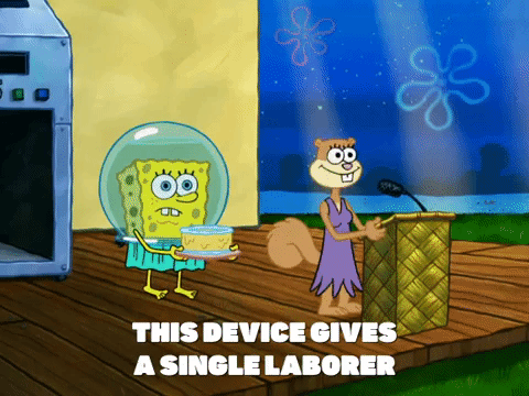 season 6 gullible pants GIF by SpongeBob SquarePants