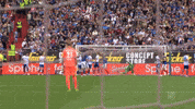 Kiel Ahoi GIF by Holstein Kiel