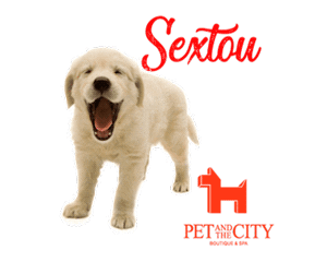 RS8 giphyupload Sticker