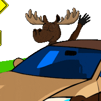 Nft Speeding Sticker by DoYouMoose