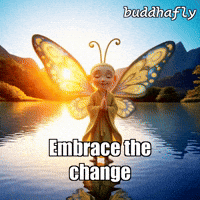 Water Butterfly GIF by BuddhaFlyJourney