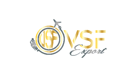 vsfexport giphyupload vsf vsf export vsfexport Sticker