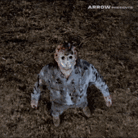 Friday The 13Th Film GIF by Arrow Video