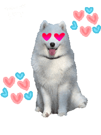 Heart Sticker