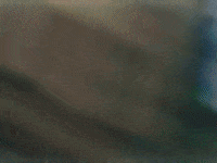 Sheknows GIF by Rocco