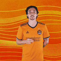 H Town Reaction GIF by Houston Dynamo FC