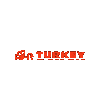 5K Turkey Day Sticker by Twin Cities In Motion
