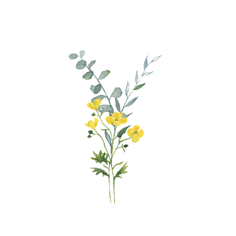 Illustration Love Sticker by Coppenrath | Die Spiegelburg