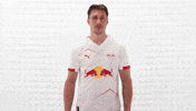 Rb Leipzig Football GIF by Bundesliga
