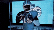 North Carolina Football GIF by UNC Tar Heels