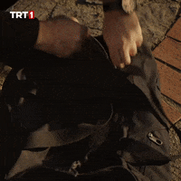 Cash Omg GIF by TRT