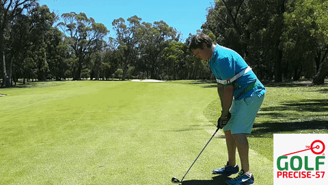 golf training aid GIF