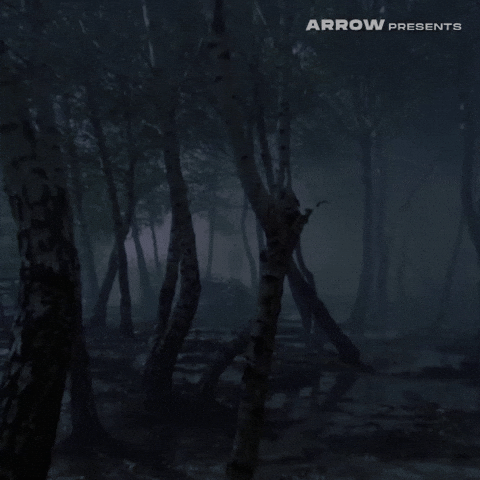 Sergio Martino Film GIF by Arrow Video