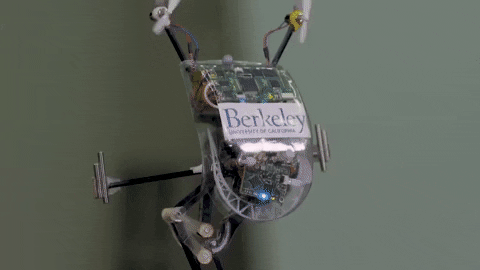 uc berkeley robot GIF by Cal