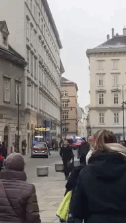 Manhunt Underway After Two Shot in Vienna