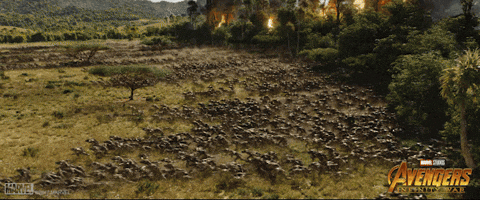 Avengers Infinitywar GIF by Marvel Studios