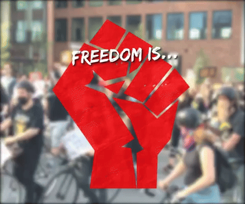 Freedom Is Fair Access To The Ballot Box