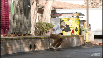 sierra fellers skateboarding GIF by Skate One
