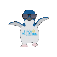 La Jolla California Sticker by Birch Aquarium at Scripps