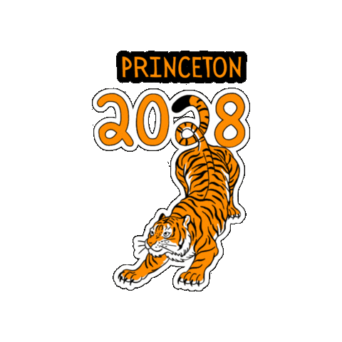 Princeton 2028 Sticker by Princeton University