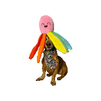 Dog Rainbow Sticker by Geekster Pets